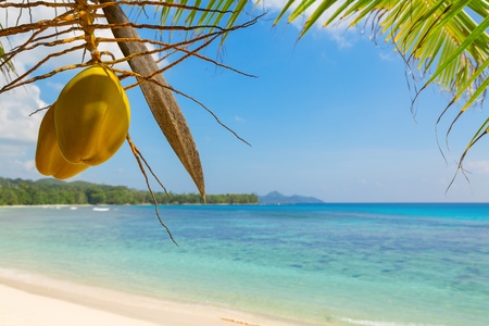 Typical beach view on Mahe island, Seychellesの写真素材