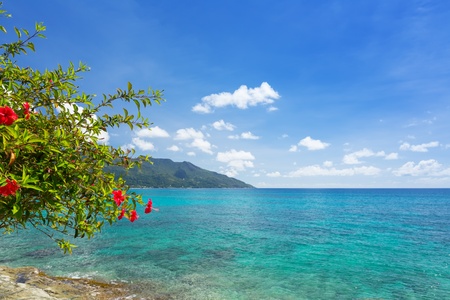 View at turquoise blue lagoon and hill and  hibiscus flovers on the side, Seychelles, Sunset beachの写真素材
