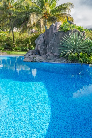 Beautiful turquoise swimming pool surrounded with granite rock and  coconut palm trees の写真素材