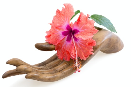 Orange and pink hibiscus flower on wooden hand statuette, isolatedの写真素材