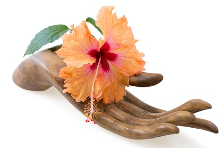 Orange and pink hibiscus flower on wooden hand statuette の写真素材