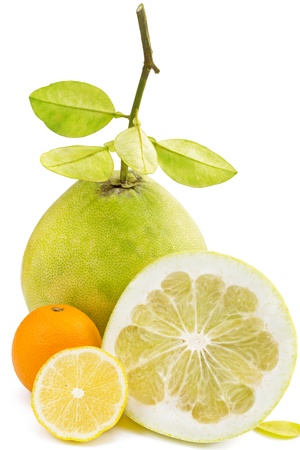 Pomelo fruit with cut lemon and orange, on white backgroundの写真素材