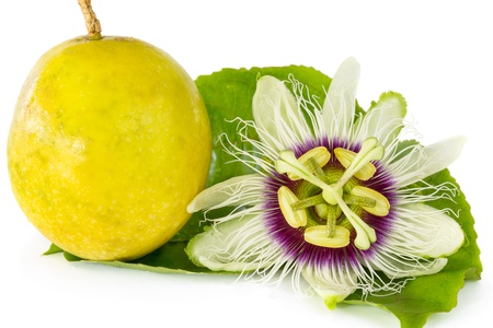 Passion fruit flower with ripe passion fruit isolated on white backgroundの写真素材