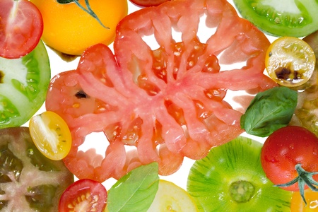 Colorful tomato backgroundの写真素材
