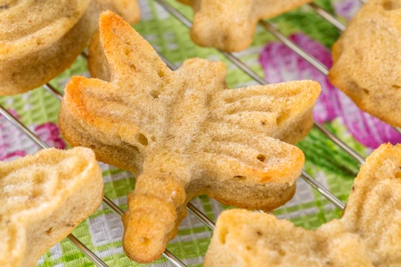 Variety of homemade muffins in shape of butterfly and dragonfly on cooling rackの写真素材