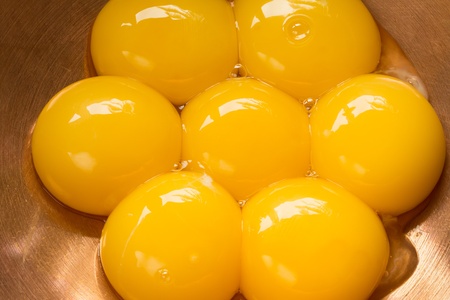 Seven egg yolks in capper bowl の写真素材