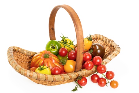Variety of fresh colorful tomatoes in basket , isolated on white backgroundの写真素材