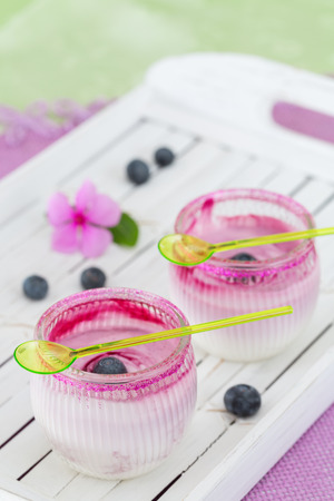 Yogurt dessert on white tray with blueberries の写真素材