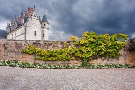 Old French castle on dramatic sky background and nice treeのeditorial素材
