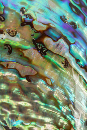 Close up Background of blue, green and purple abalone pearl shell, vertical compositionの写真素材