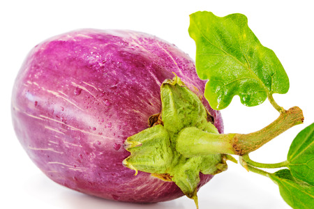 Eggplant or aubergine vegetable on white backgroundの写真素材