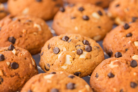 Golden brown chocolate chip cookies cooling on a rack selective focusの写真素材