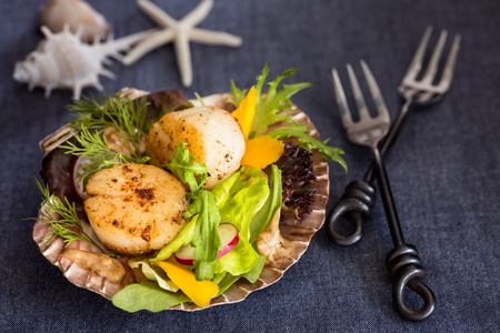 Fresh seared sea scallops salad with mango, radish, avocado on scallop shellの写真素材