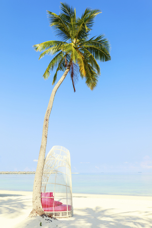 White tropical chair under palm trees on perfect tropical beach, tropical holiday concept , Maldivesの写真素材