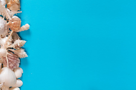 Seashells flat lay pattern on blue background, sea vacation background with copy space on blue, top viewの写真素材