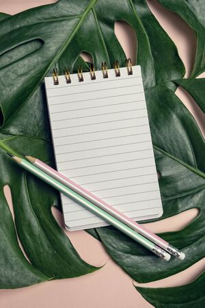Top view of blank notepad with pen on monstera leaf and pink background, top view, vertical compositionの写真素材