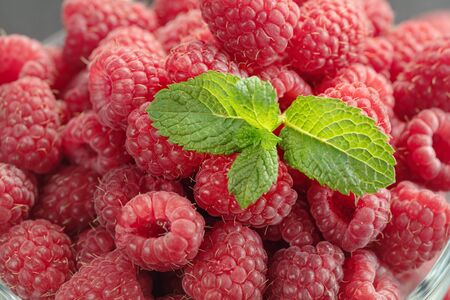 Fresh Deluxe Raspberries in glass bowl wit mint lief. Close up, high resolution product. Harvest...