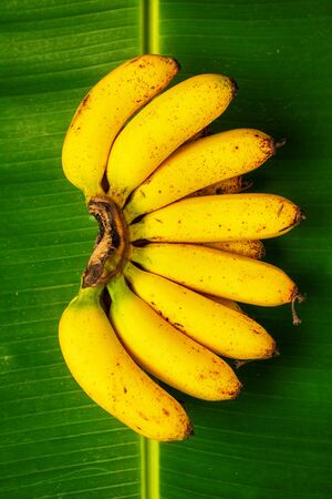 Bunch of fresh bananas on banana leaves, top view, vertical compositionの写真素材