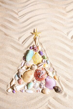 Christmas tree  made from shells and corals on beach sand, flat lay , vertical compositionの写真素材