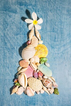 Christmas background with a creative arrangement of seashells, corals and white frangipani flower forming a Xmas tree on blue background, flat lay, vertical compositionの写真素材