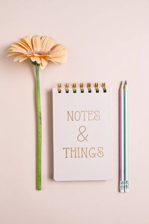 Top view of pink notepade with pensils and fresh gerbera flowerr on pink pastel background. Copy space, vertical compositionの写真素材