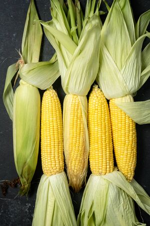 Fresh maize corn, top view, on dark background の写真素材
