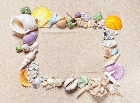 Frame made of mix seashells and corals on clean fine sand, top view with copy spaceの写真素材