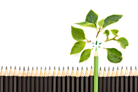 Green pencil with fresh green leafâs on a large group of black pencils, isolated on white background, green eco conceptの写真素材