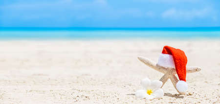 White Starfish in red Santa hat on sandy beached sea on backgroundの写真素材