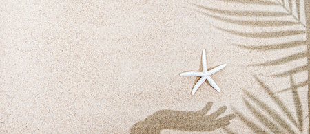 Shadow of female hand and palm tree leaves, starfish on sand, top view, copy space, bannerの写真素材