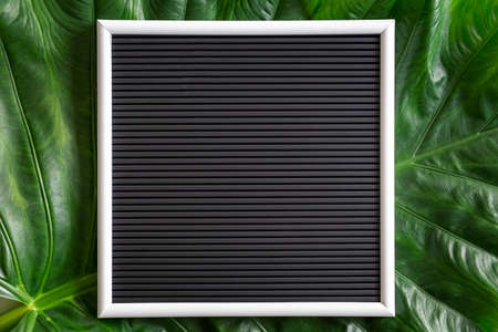 Green tropical mix leaves background with blank black board, top view