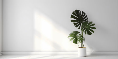 White empty room with single monstera plant. Scandinavian minimalistic interior design with copy space. High key. AI generatedの素材
