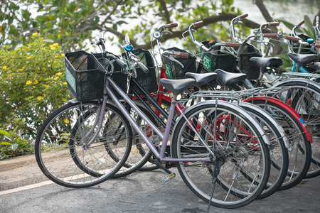 Row of Bicycle rentals