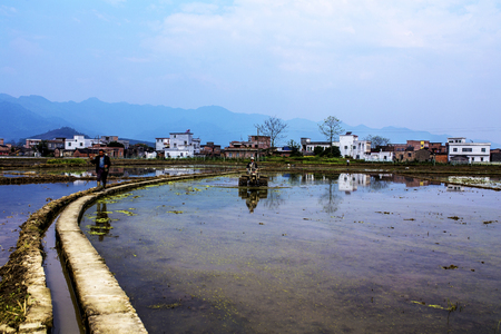 Spring sceneryのeditorial素材