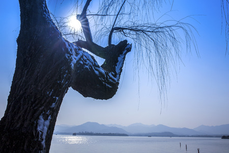 West Lakeの写真素材