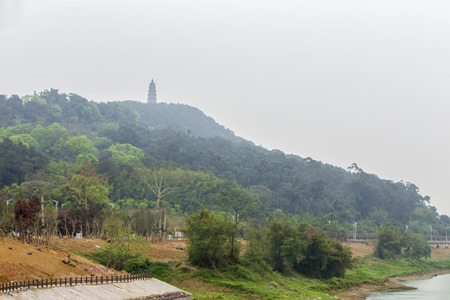 Green towerの写真素材