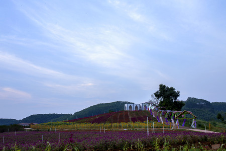 sunset sky viewのeditorial素材