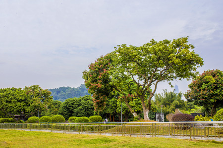 autumn seneryのeditorial素材