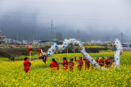 Enjoy the rape flowers Dragonのeditorial素材