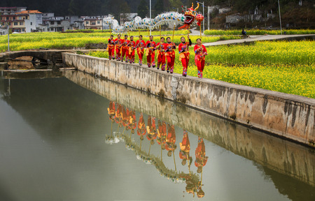 Enjoy the rape flowers Dragonのeditorial素材