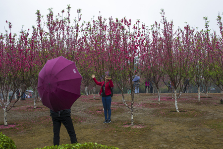 Liuzhou Longtan Parkのeditorial素材