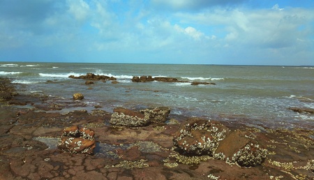 Rocky beach scenery