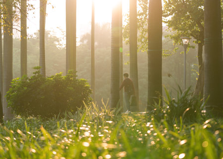 Morning light in the parkの写真素材