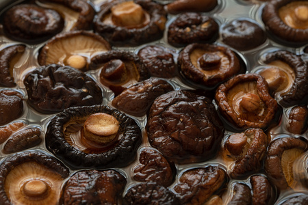 shitake mushroom in water asia ingredient good smell and healthyの写真素材