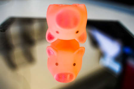 Piggy reflection in the mirrorの写真素材