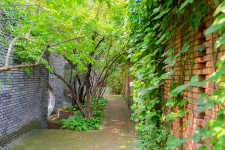Landscaping Yard Garden Designの写真素材