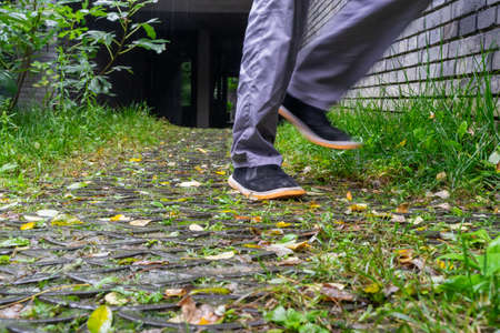 Falling leaves on the ground outdoors in rainy day, autumn weed footsteps