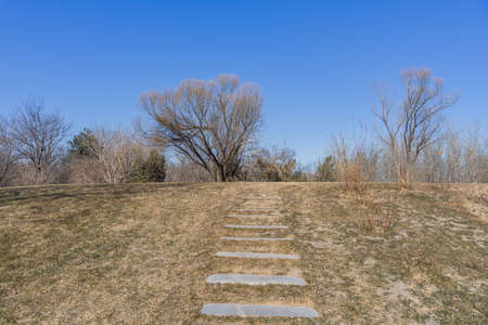 Dry lawn path in the square