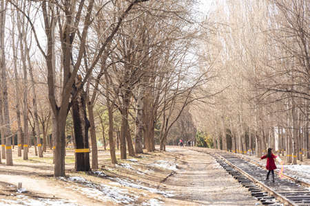 little girl outing on railway tracks in springの写真素材
