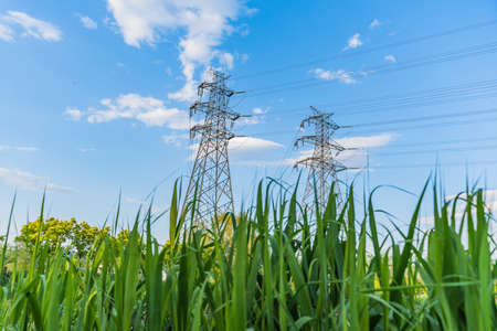 Power lines in remote areasの写真素材